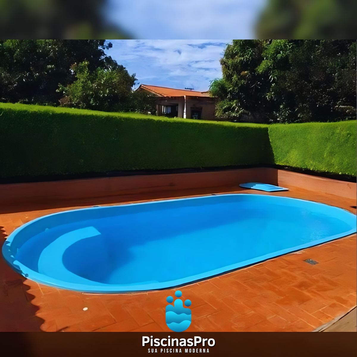 Oasis 1